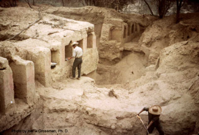 Recording painted murals at looted temple mound in Chimbote, North Coast of Peru